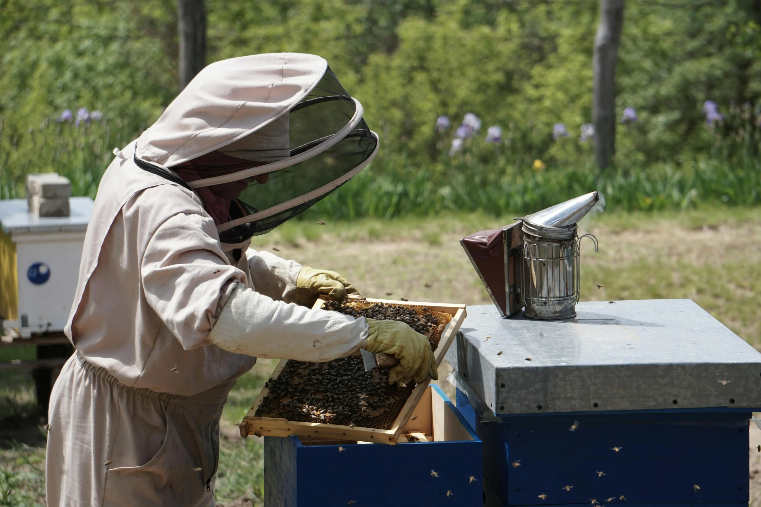 Beekeeping Equipment